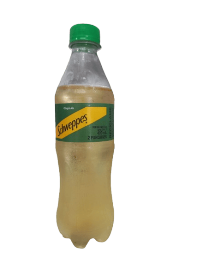 Gaseosa Ginger - 400 ml (personal)